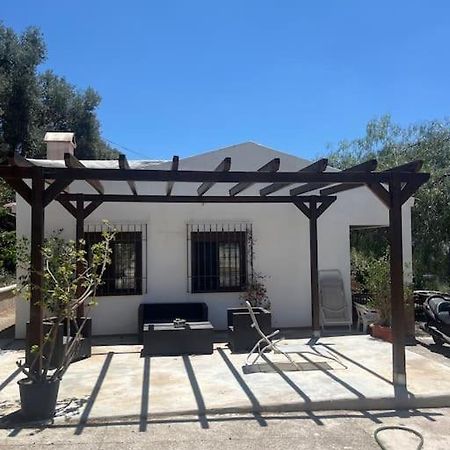 Farmhouse Surrounded By Centenary Olive Trees Olías Εξωτερικό φωτογραφία