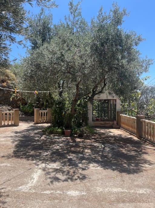Farmhouse Surrounded By Centenary Olive Trees Olías Εξωτερικό φωτογραφία